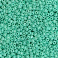 Seed beads 11/0 (2mm) Teal green